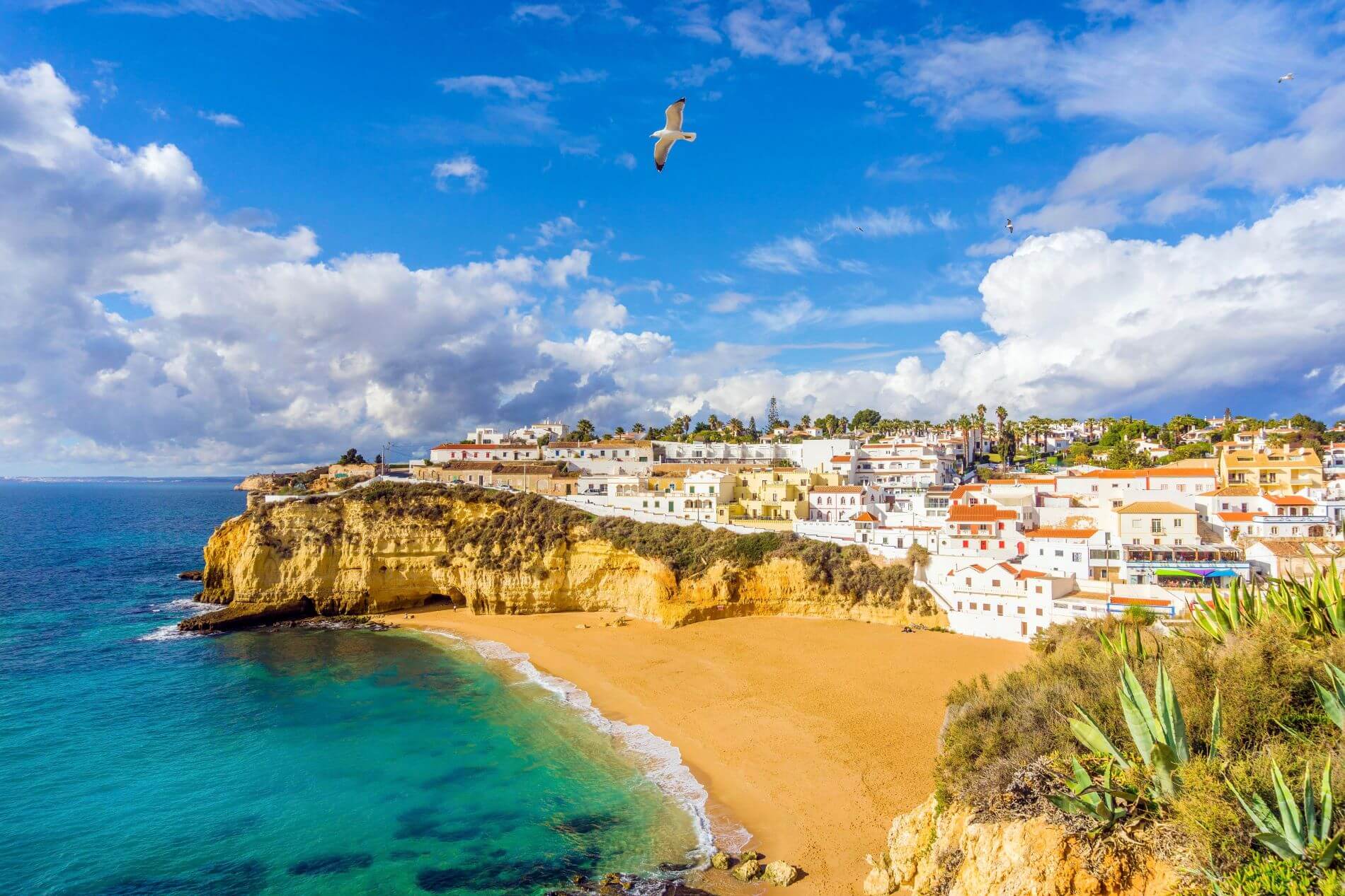 Strand an der Algarve mit goldenem Sand, klarem Wasser und steilen Felsen im Hintergrund.