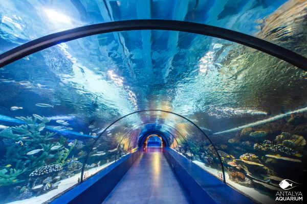 Antalya Tunnel Aquarium