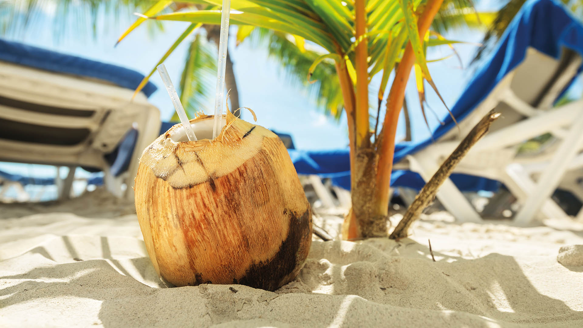 Kokosnuss mit zwei Strohhalmen an einem Strand im Urlaub in der Dominikanischen Republik